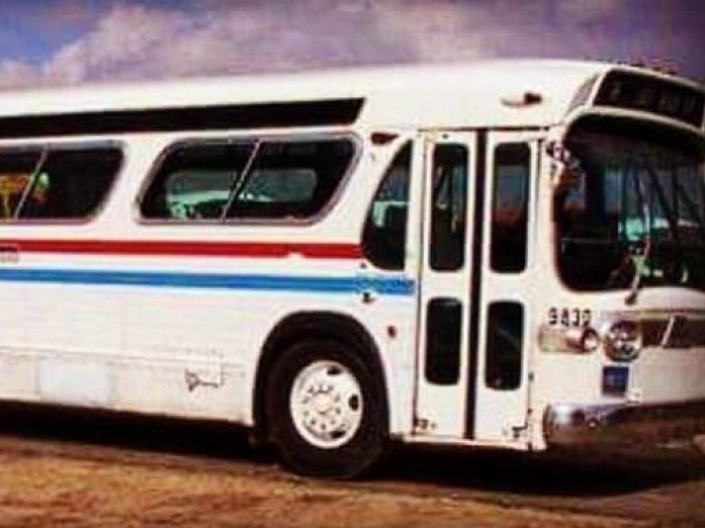 Американка приобрела старый автобус и превратила его в уютный дом (ФОТО)