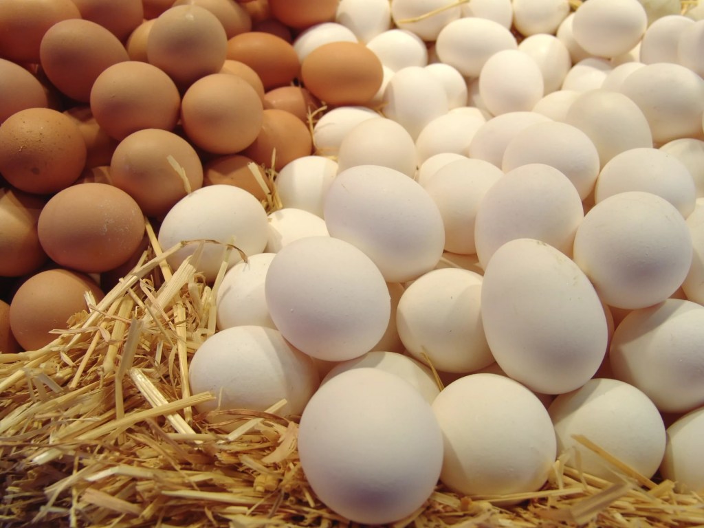 В июле яйца подешевеют на 1-2 гривны – эксперт