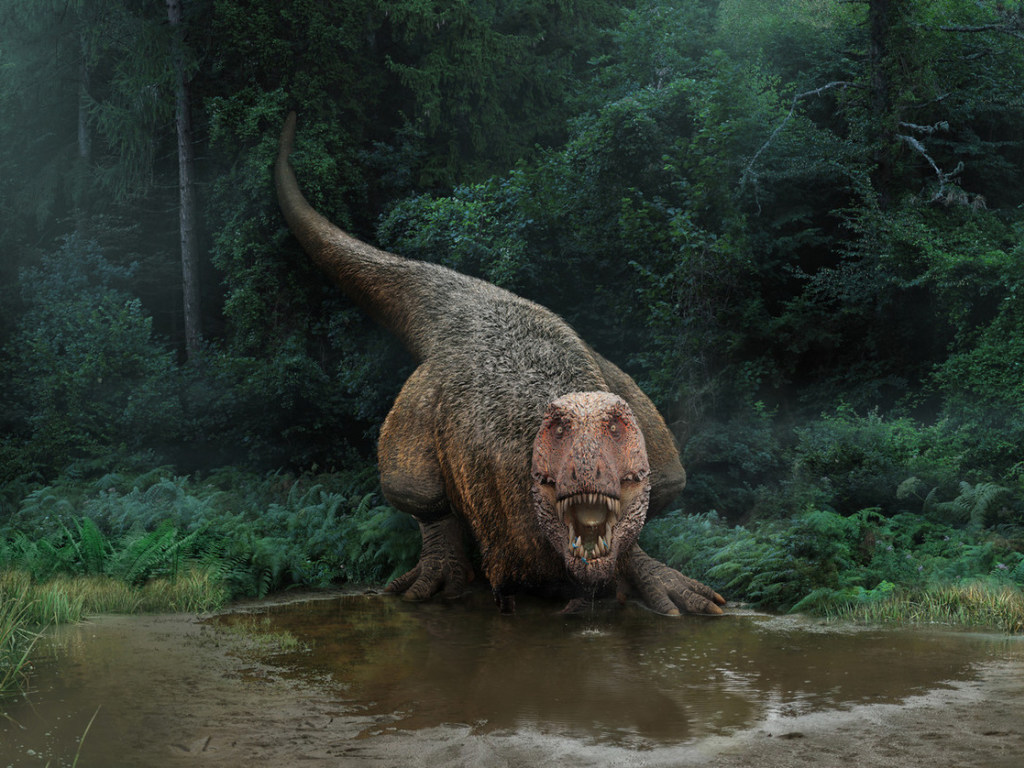 Ученые случайно обнаружили необычные останки динозавра