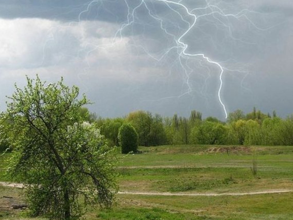 Синоптик: Сегодня в Украине ожидается сильный порывистый ветер и местами ливни со шквалами (КАРТА)