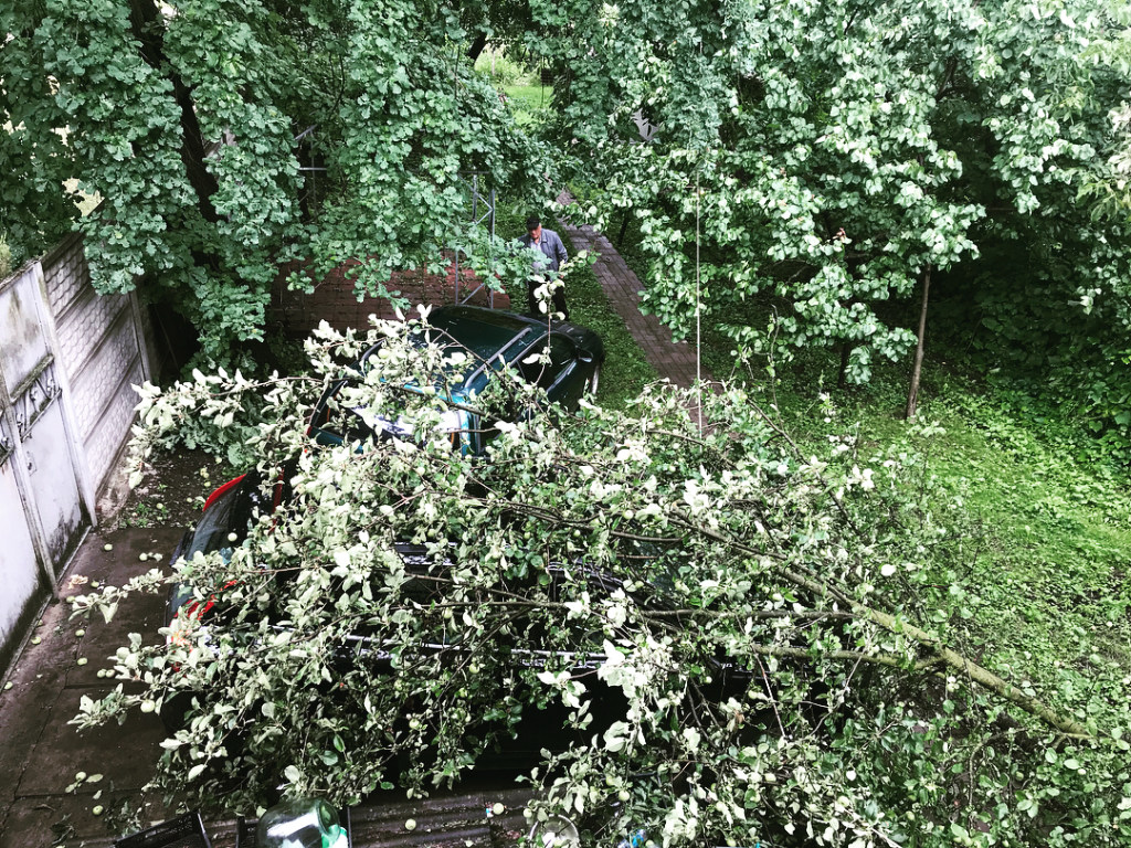 На авто лидера группы «Друга ріка» упало дерево (ФОТО)