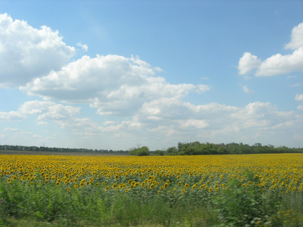 Синоптик: В среду в Украину вернется лето с комфортной температурой воздуха  (КАРТА)