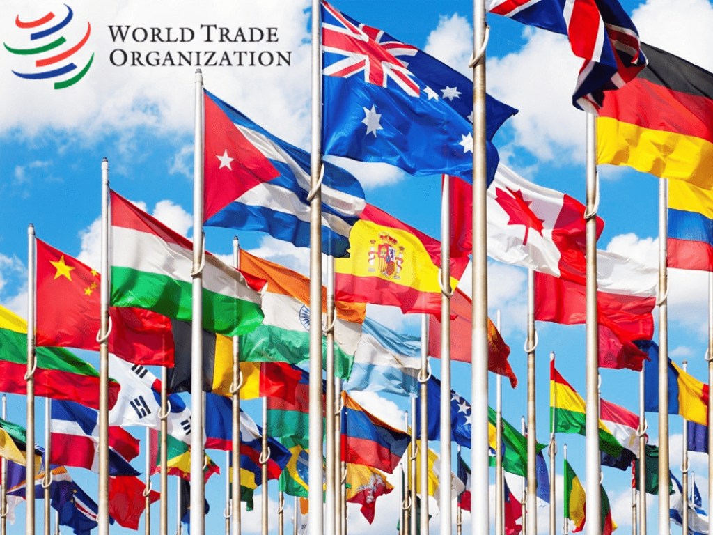 США могут выйти из Всемирной торговой организации к концу июля – американский аналитик