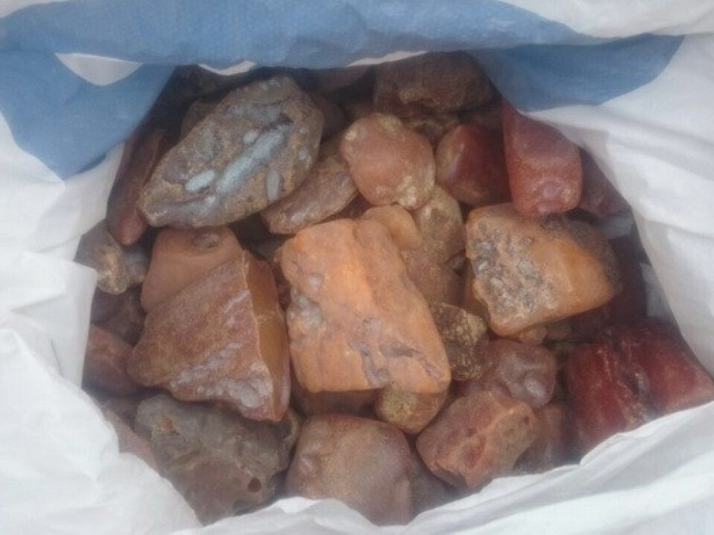 В Ровенской области изъяли 50 килограммов незаконно добытого янтаря (ФОТО, ВИДЕО)