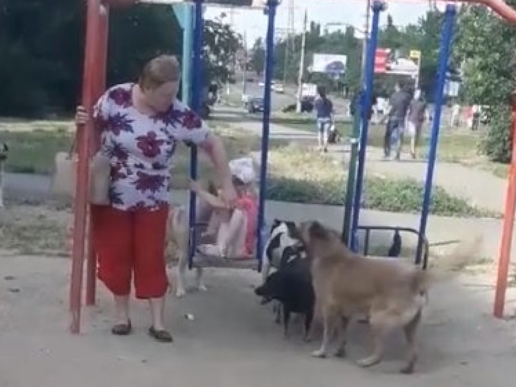 В Николаеве бродячие собаки выгнали детей с детской площадки (ФОТО, ВИДЕО)
