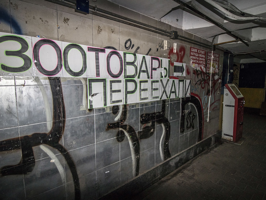 На Соломенке в Киеве подземный переход избавили от МАФов, но лучше не стало (ФОТО)