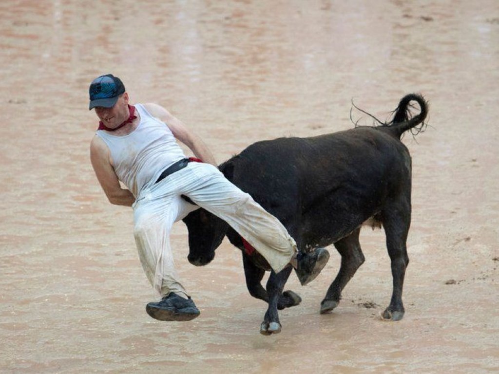 На испанском фестивале быки искалечили людей (ФОТО)