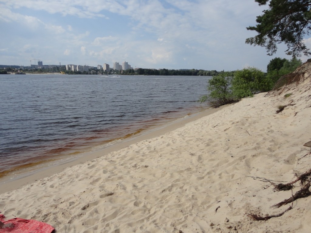 МОЗ: На более 110 публичных пляжах Украины обнаружена кишечная палочка