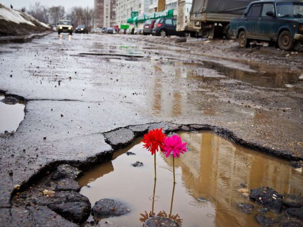 В Черновцах активисты засадили цветами ямы на автодорогах (ФОТО, ВИДЕО)