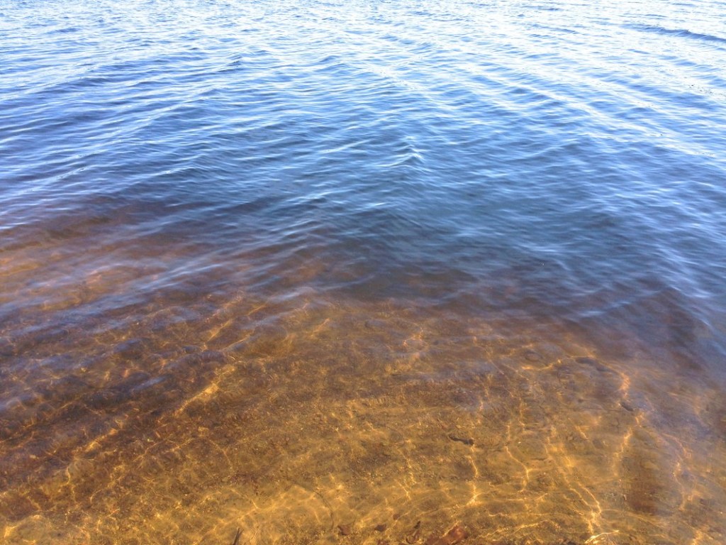 На днепровских пляжах нашли холерный вибрион