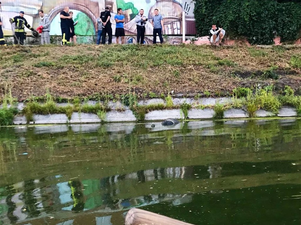 В центре Харькова в реке нашли труп (ФОТО)