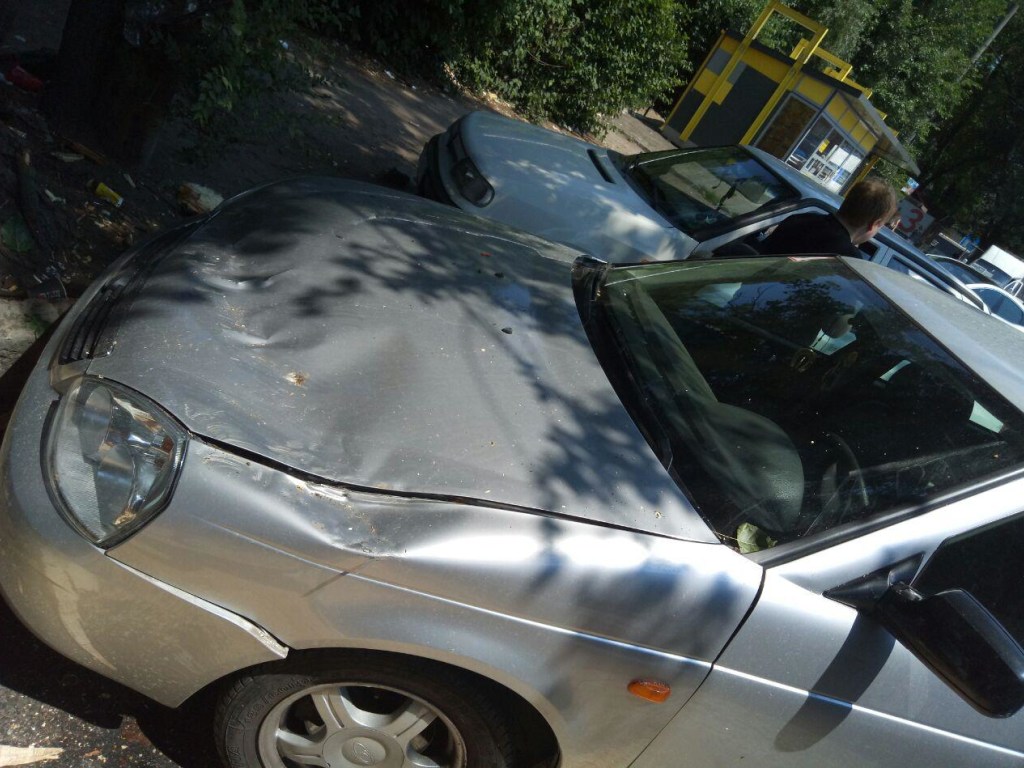 В Днепре напротив ТЦ ветка упала на автомобиль: пострадала женщина (ФОТО)