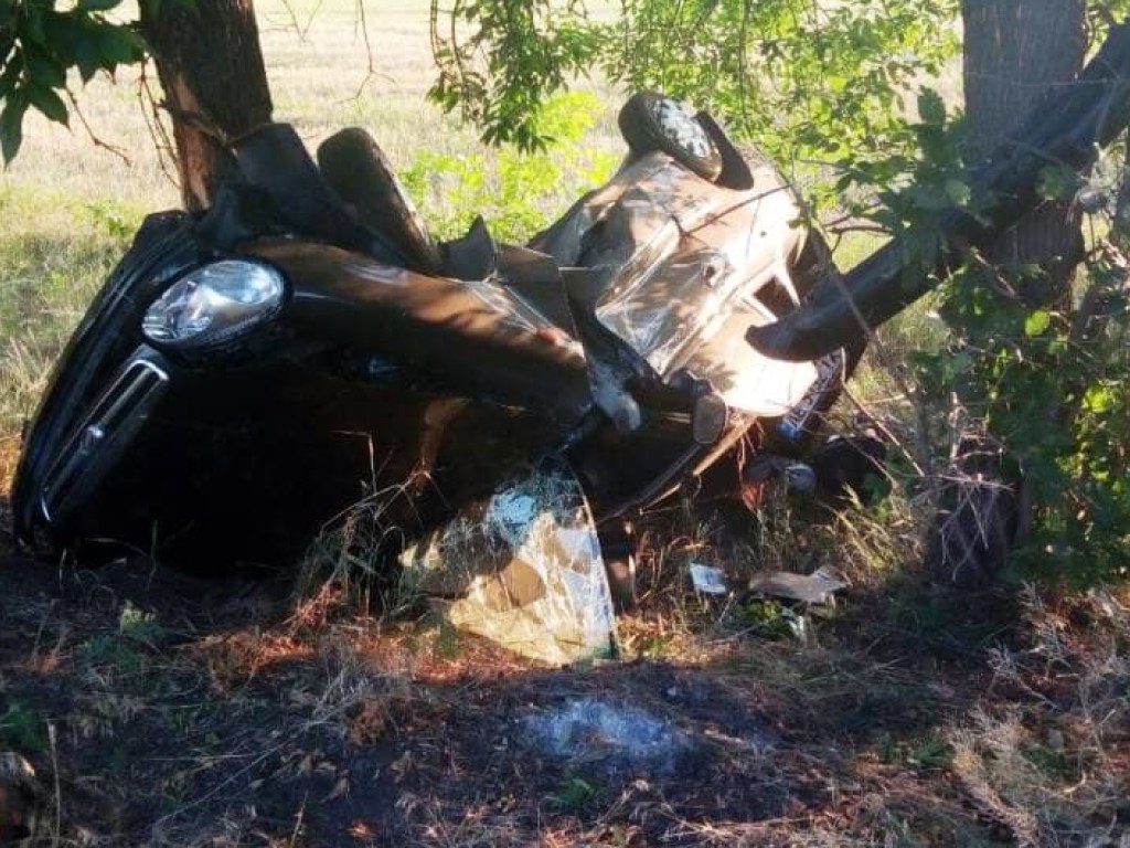 В Днепропетровской области водитель не справился с управлением и погиб на месте аварии (ФОТО)