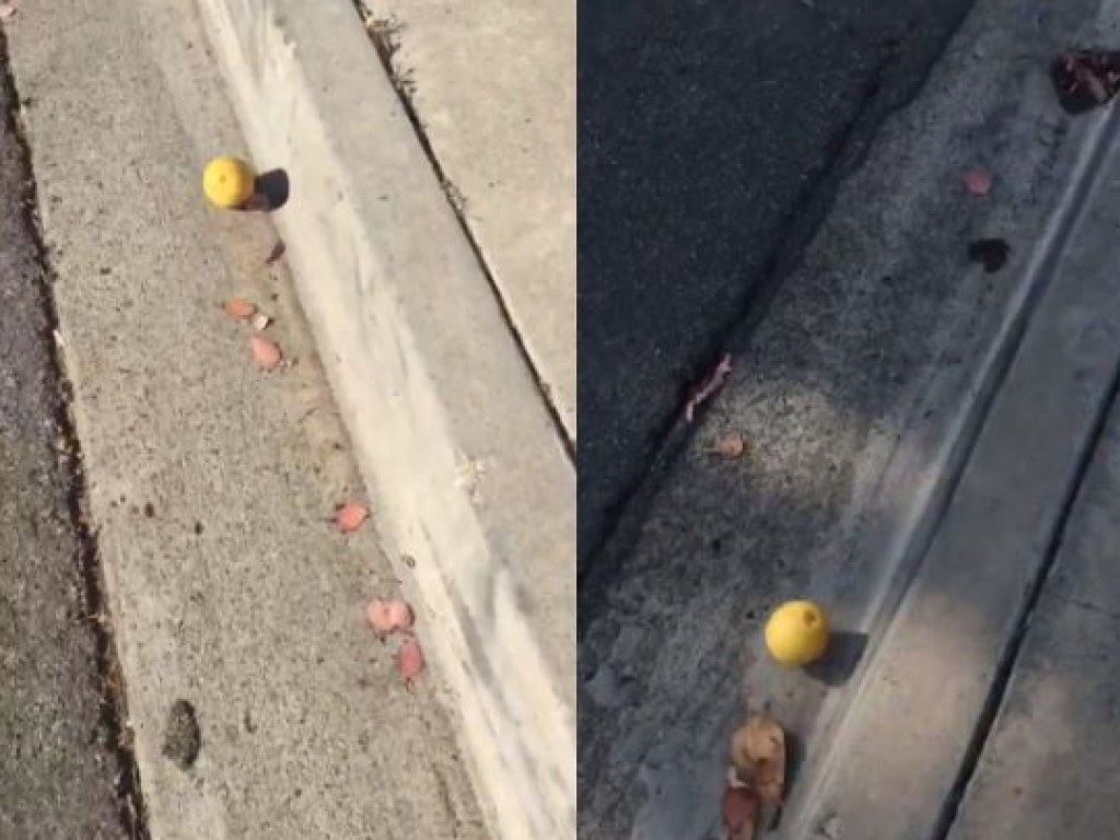 «Я от бабушки ушел и от дедушки ушел»: Видео с катящимся лимоном покорило интернет (ФОТО, ВИДЕО)