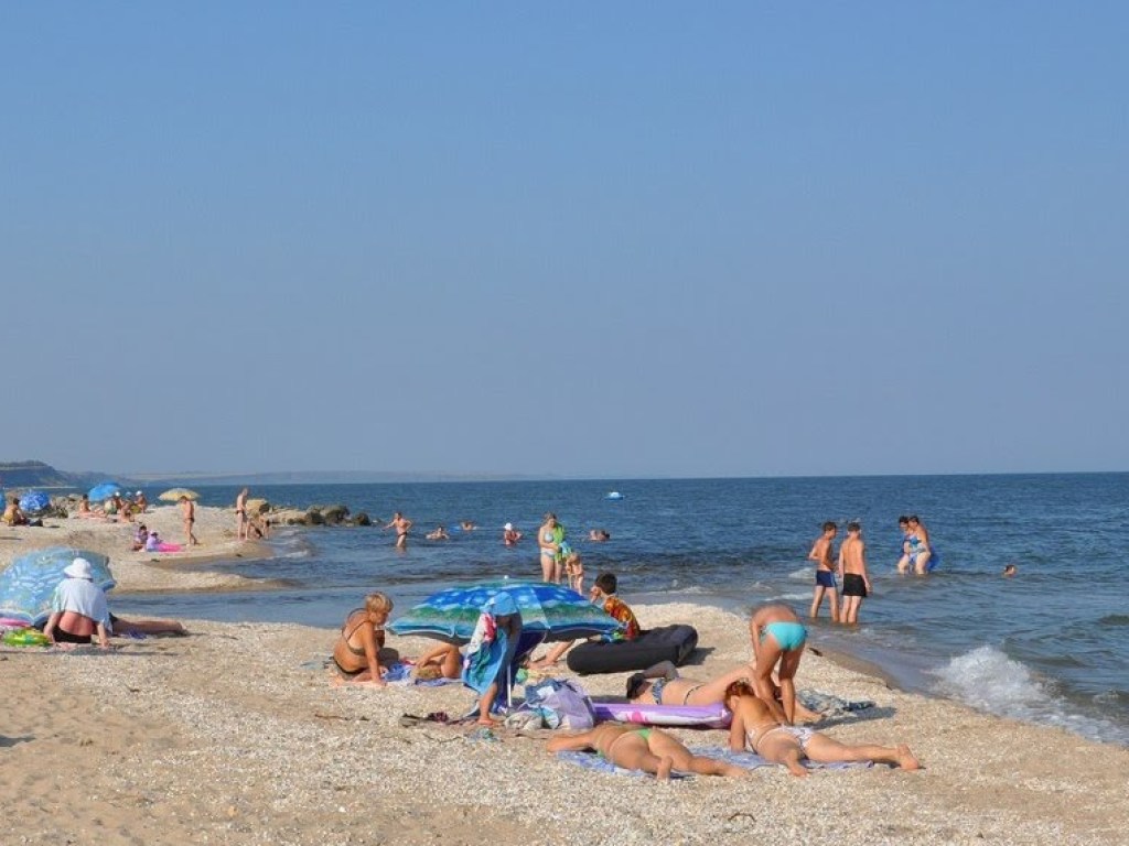 Мертвого дельфина нашли на пляже популярного курорта (ВИДЕО)