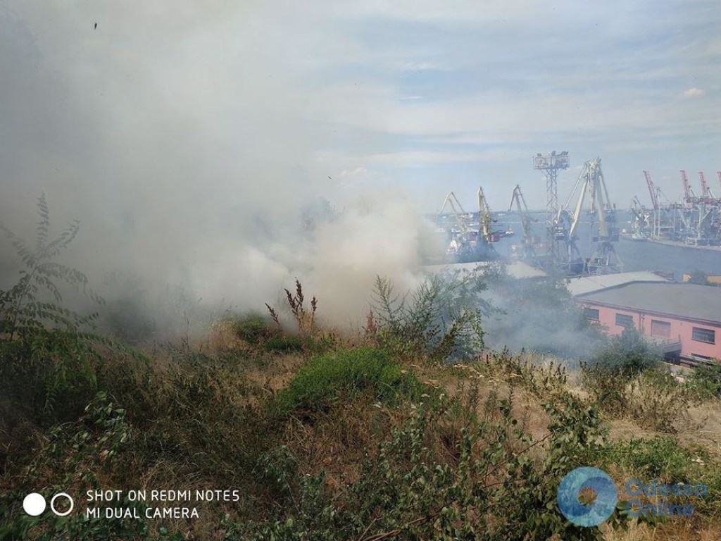 В Одессе произошел пожар в парке Шевченко (ФОТО, ВИДЕО)