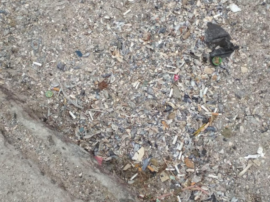 Одесский пляж Ланжерон утопает в мусоре (ФОТО)
