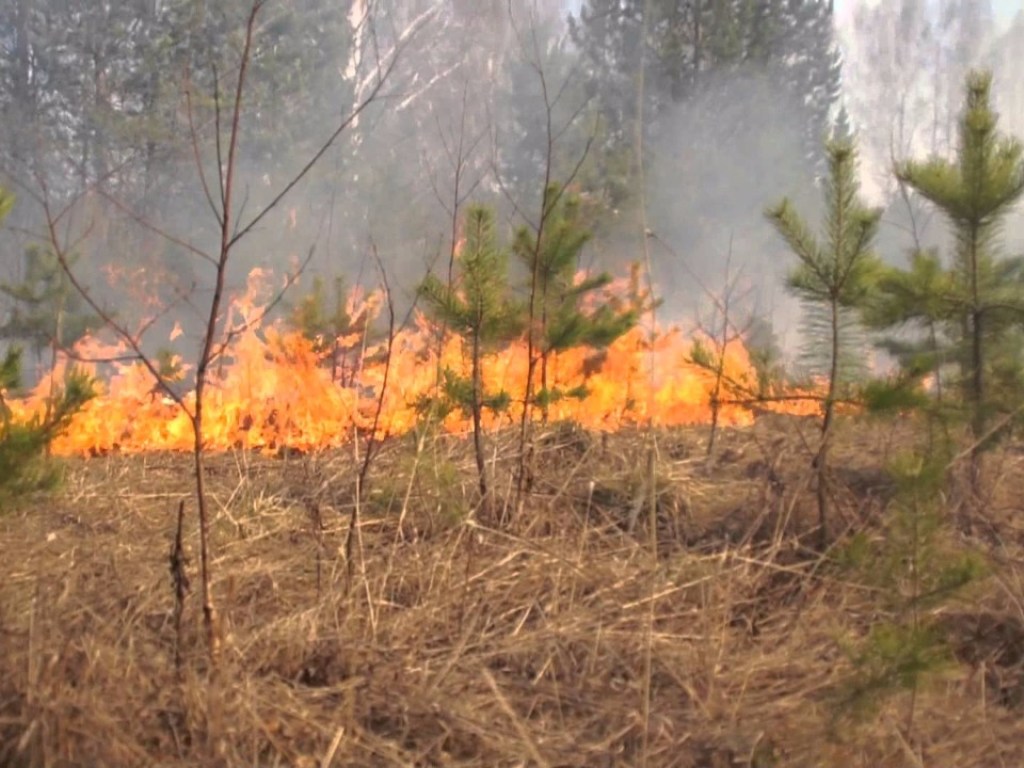 Спасатели предупредили о чрезвычайном уровне пожарной опасности в Украине
