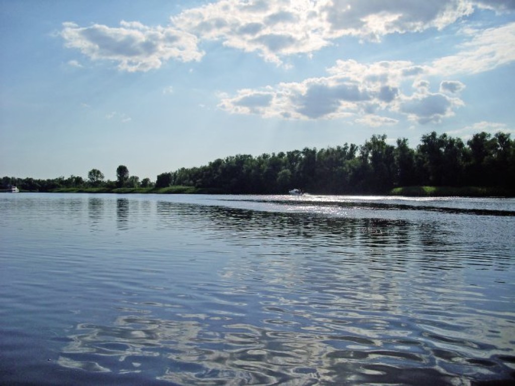 В реке в Запорожской области обнаружили возбудителя холеры