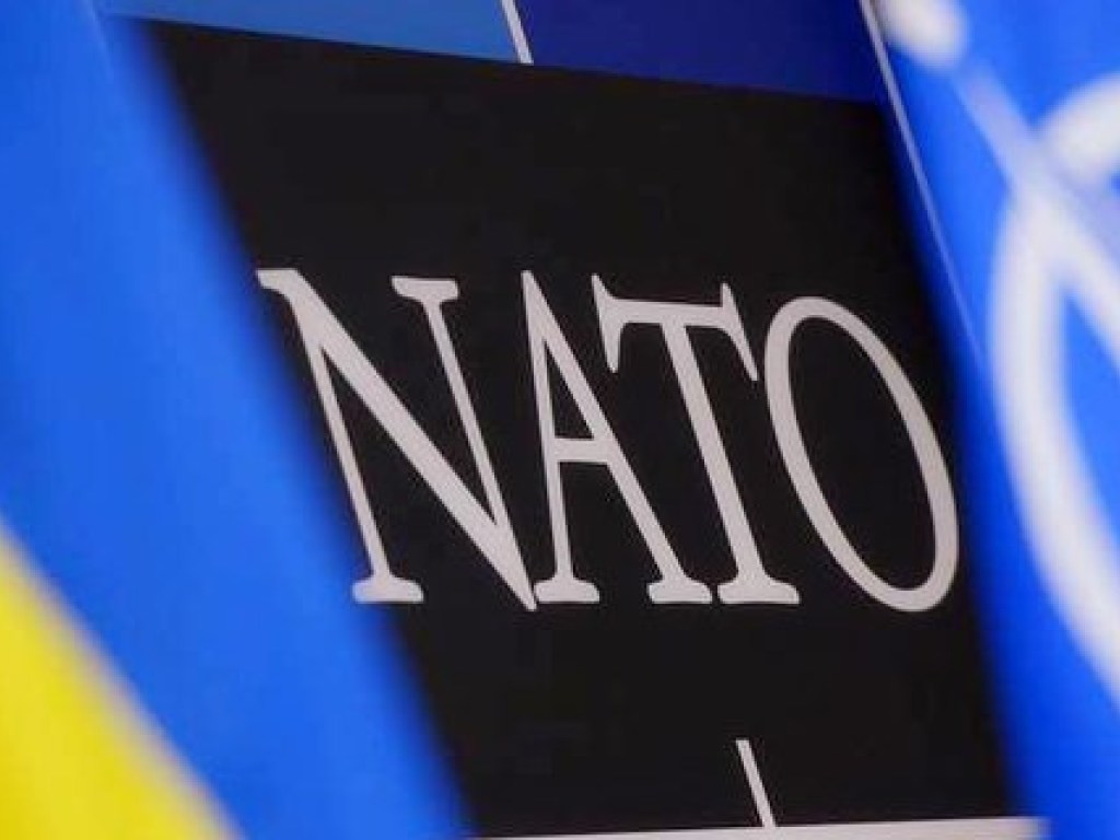 НАТО не заинтересовано  урегулировать конфликт между Венгрией и Украиной – политолог