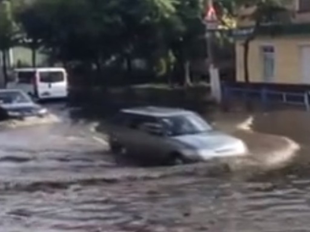 Сильный дождь затопил улицу Житомира (ФОТО, ВИДЕО)