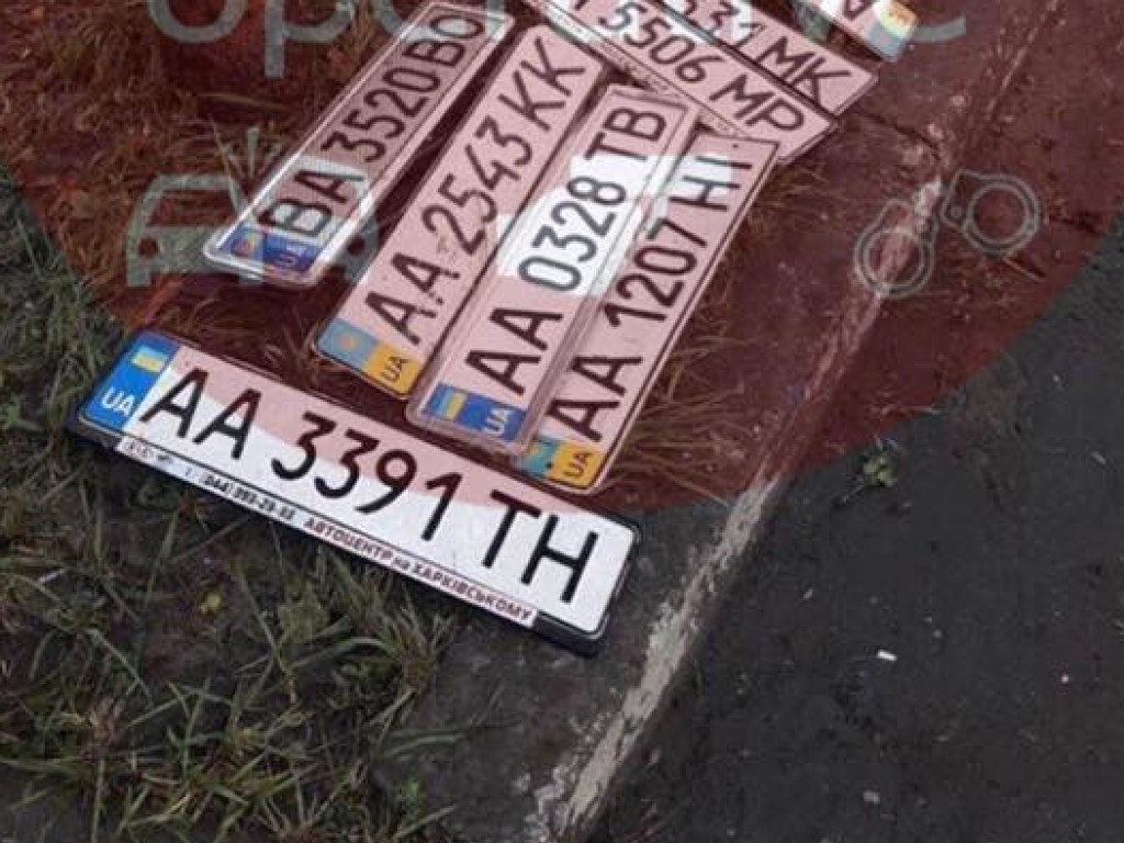 После ливневого дождя в Киеве обнаружили несколько «забытых» на обочине автомобильных номеров (ФОТО)