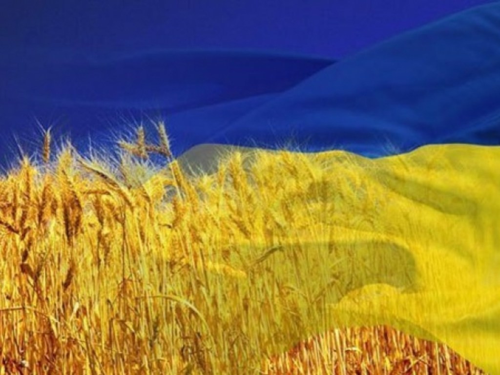 Украине нужны не торговые войны, а здоровый прагматизм &#8212; экономист