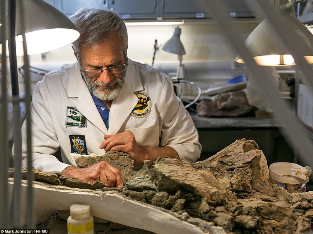 В США обнаружили останки бронированного динозавра, вымершего 76 миллионов лет назад (ФОТО)