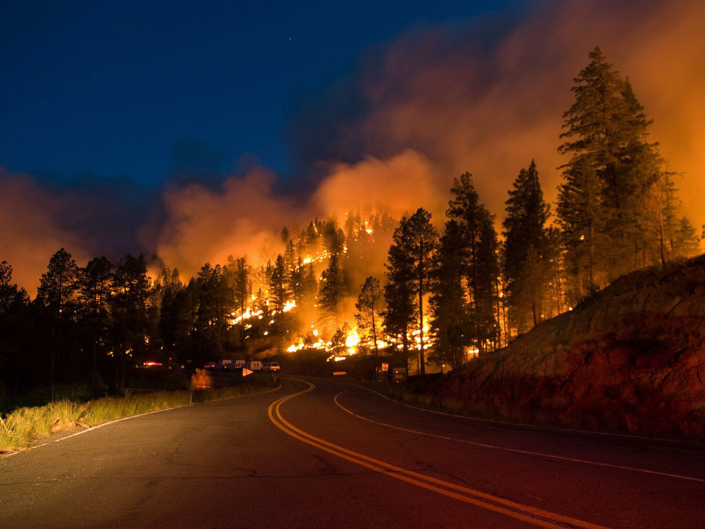 Вследствие пожара в США сгорел лес и погиб человек (ФОТО, ВИДЕО)