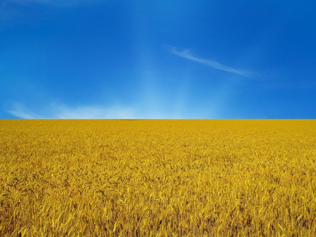 Украина непопулярна среди иностранных инвесторов из-за плохой защиты прав собственности – эксперт