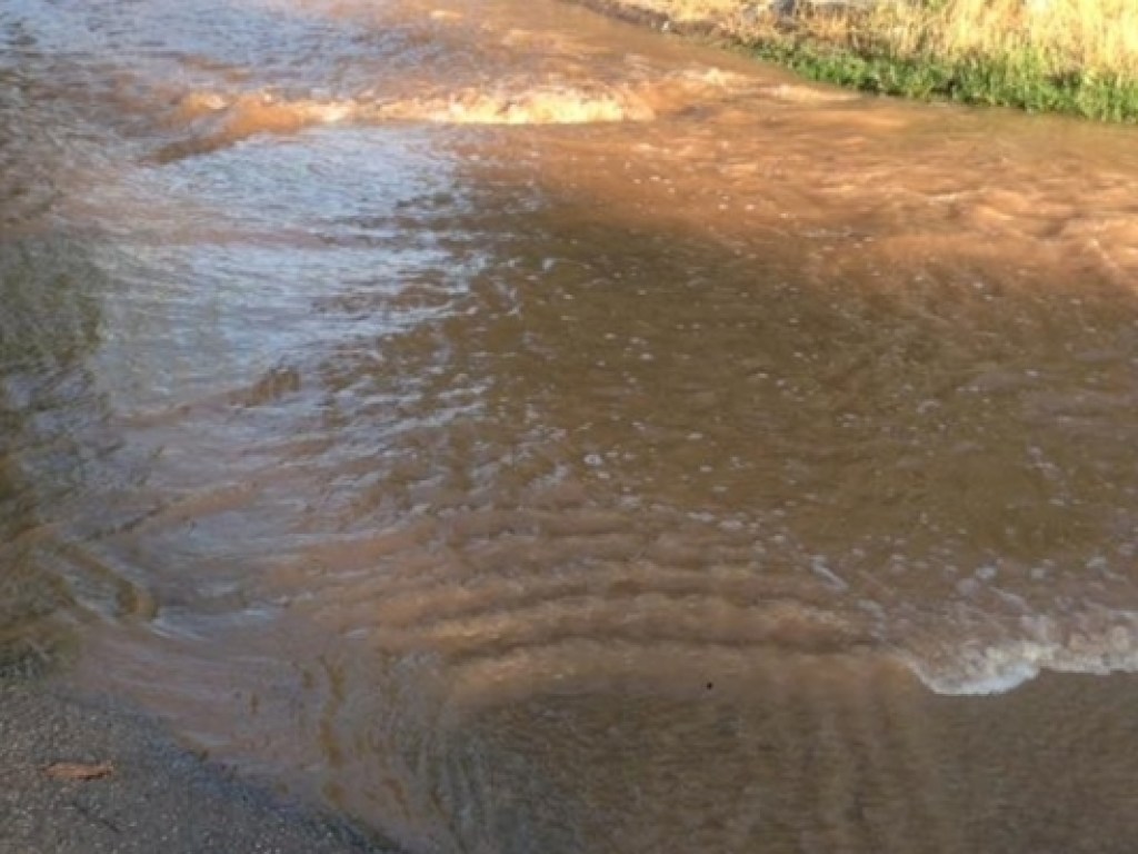Пронесся поток грязи: В Запорожье после прорыва трубы затопило одну из улиц (ФОТО)
