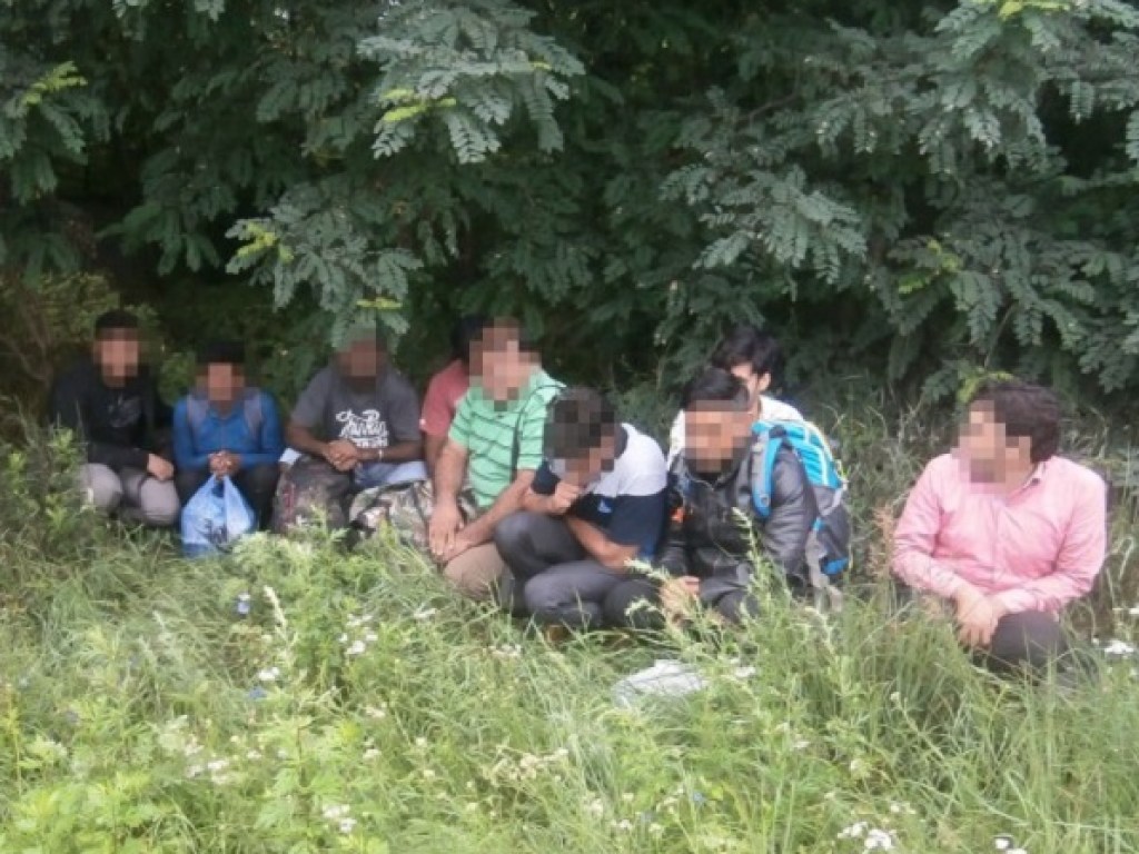 Украинские пограничники задержали на границе с Россией 10 нелегалов (ФОТО)