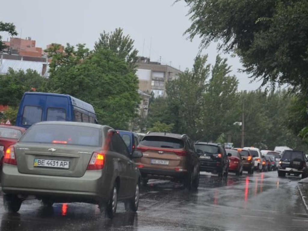 Огромный затор: В центре Николаева рухнувшее дерево оборвало контактную сеть (ФОТО, ВИДЕО)