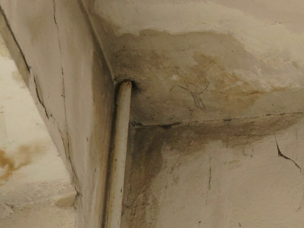 В николаевской школе с потолка полилась вода: отремонтированная крыша дала течь (ФОТО)