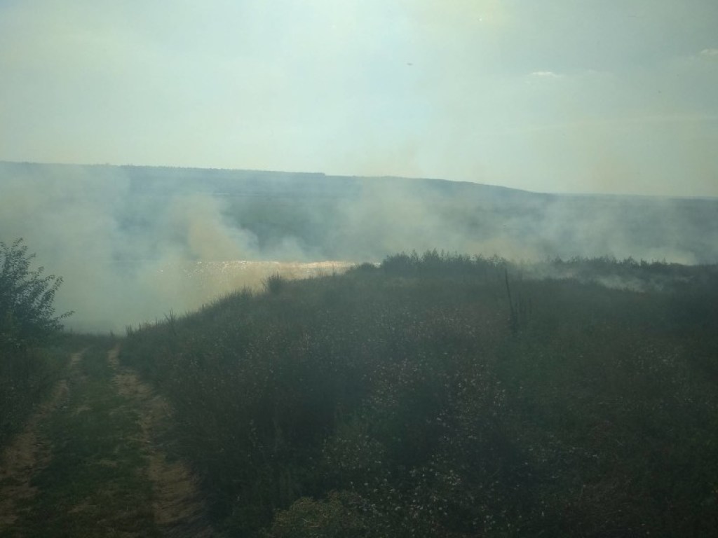 На Николаевщине произошел масштабный пожар: горели сухая трава и хвойная подстилка (ФОТО)