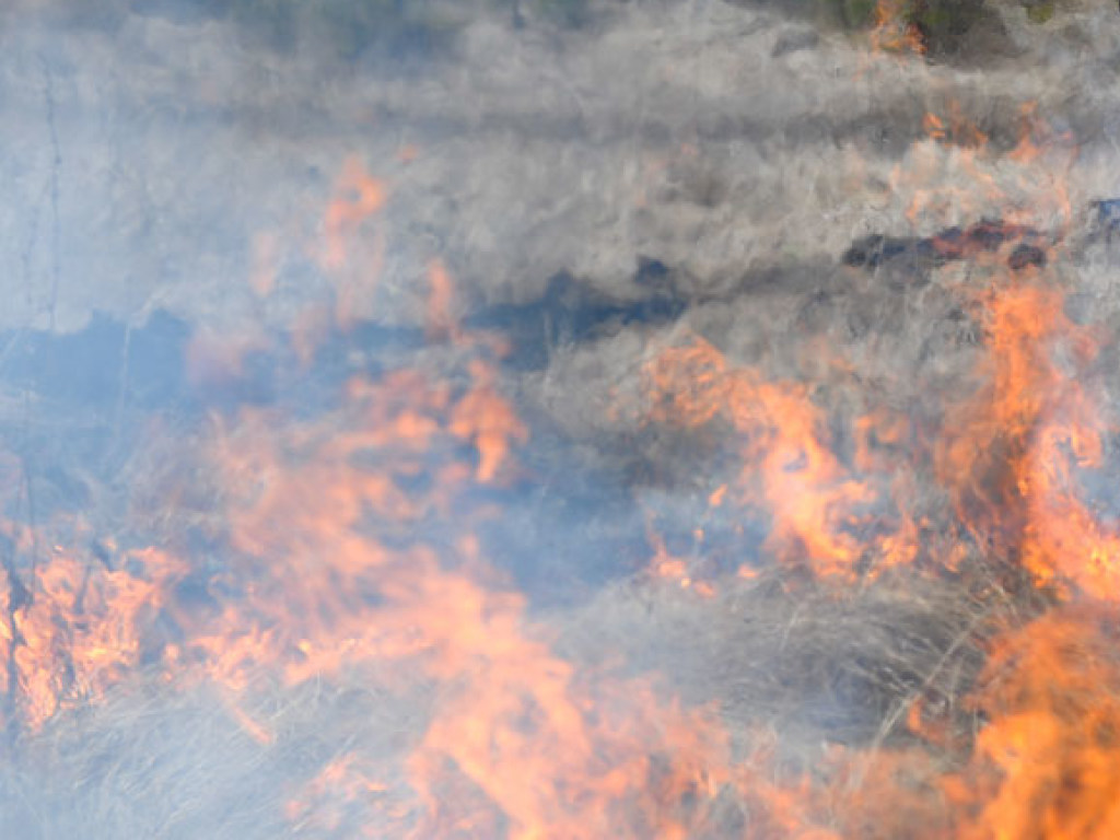 Синоптики предупредили о высоком уровне пожарной опасности в Украине