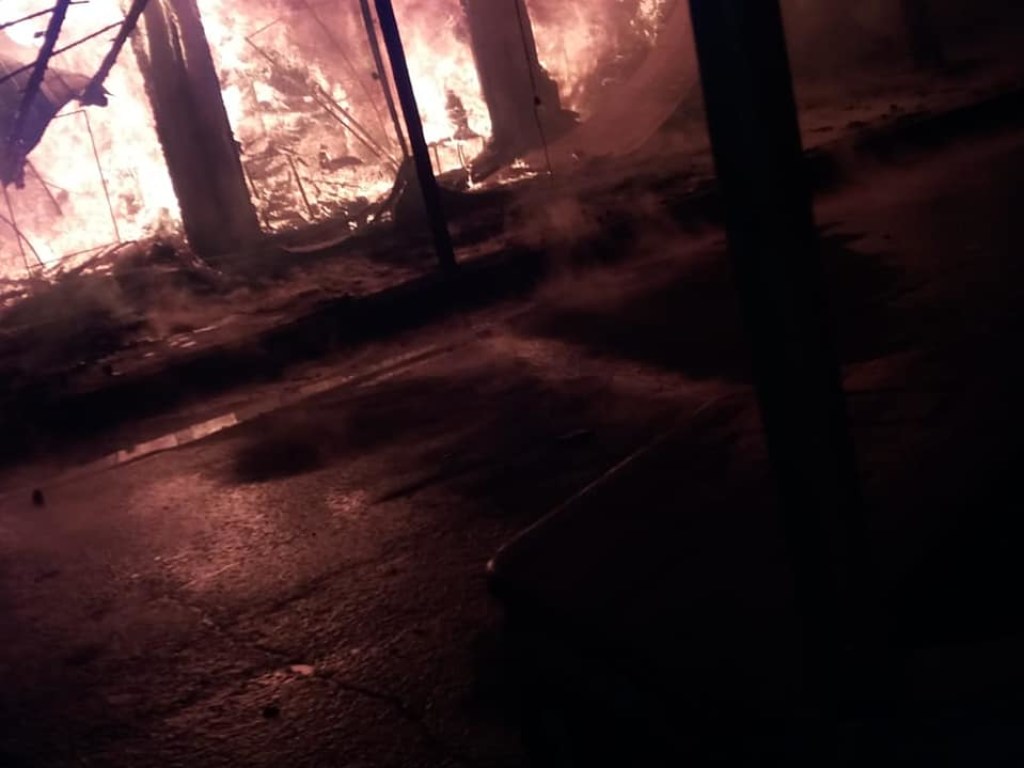 В Коблево произошел пожар рядом с базой отдыха (ФОТО)
