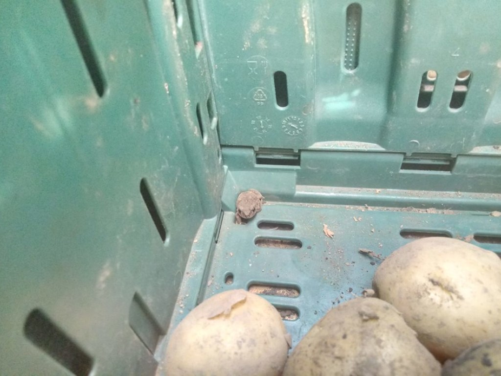 В супермаркете Запорожья среди продуктов покупатели обнаружили жабу (ФОТО, ВИДЕО)