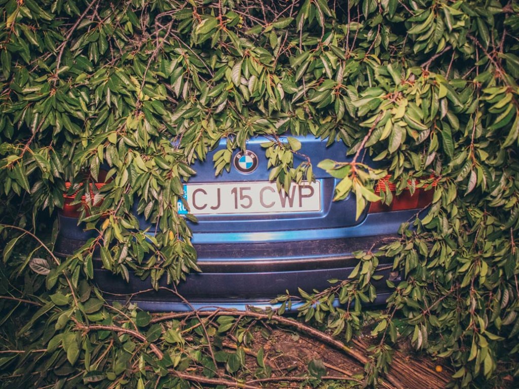 В Киеве водитель BMW подрезал Lexus, в ходе погони водитель «бэхи» врезался в дерево (ФОТО, ВИДЕО)