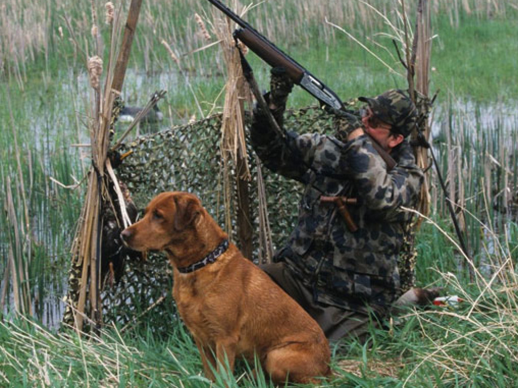 В Винницкой области во время охоты на птицу мужчина выстрелил в живот другу