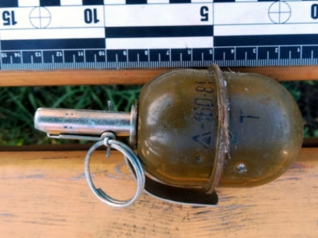 В Харькове на клумбе возле дома нашли боевую гранату (ФОТО)