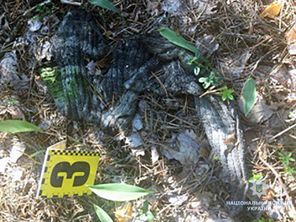 На Житомирщине  в лесу нашли обгоревшее тело мужчины (ФОТО)