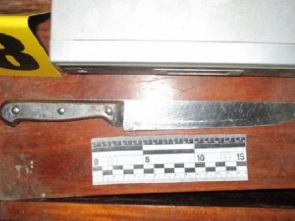 Агрессивная свекровь: жительница Запорожья всадила нож в спину девушке своего сына (ФОТО)