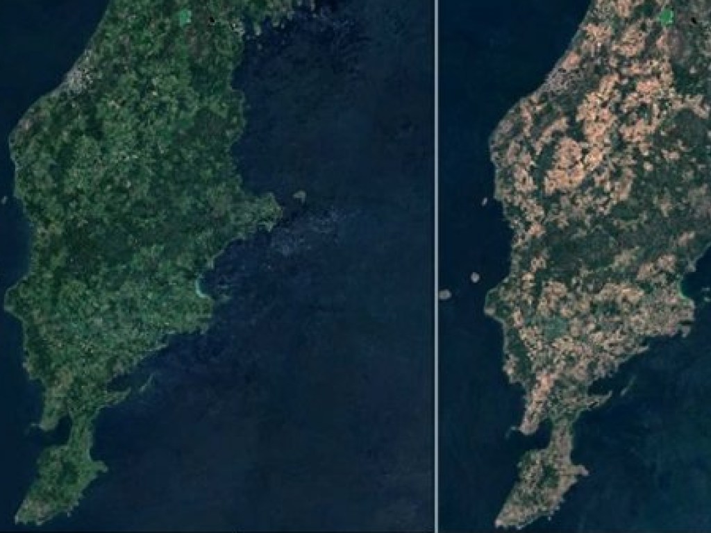Масштабные лесные пожары изменили Швецию: снимки из космоса (ФОТО)