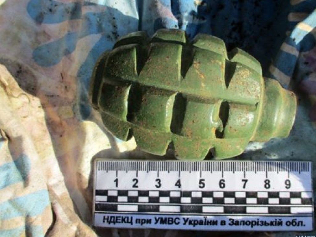 В Запорожской области у россиянина изъяли гранату и подрыватели (ФОТО)