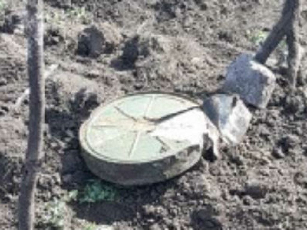 В Мариуполе в пойме реки тракторист нашел мину (ФОТО)