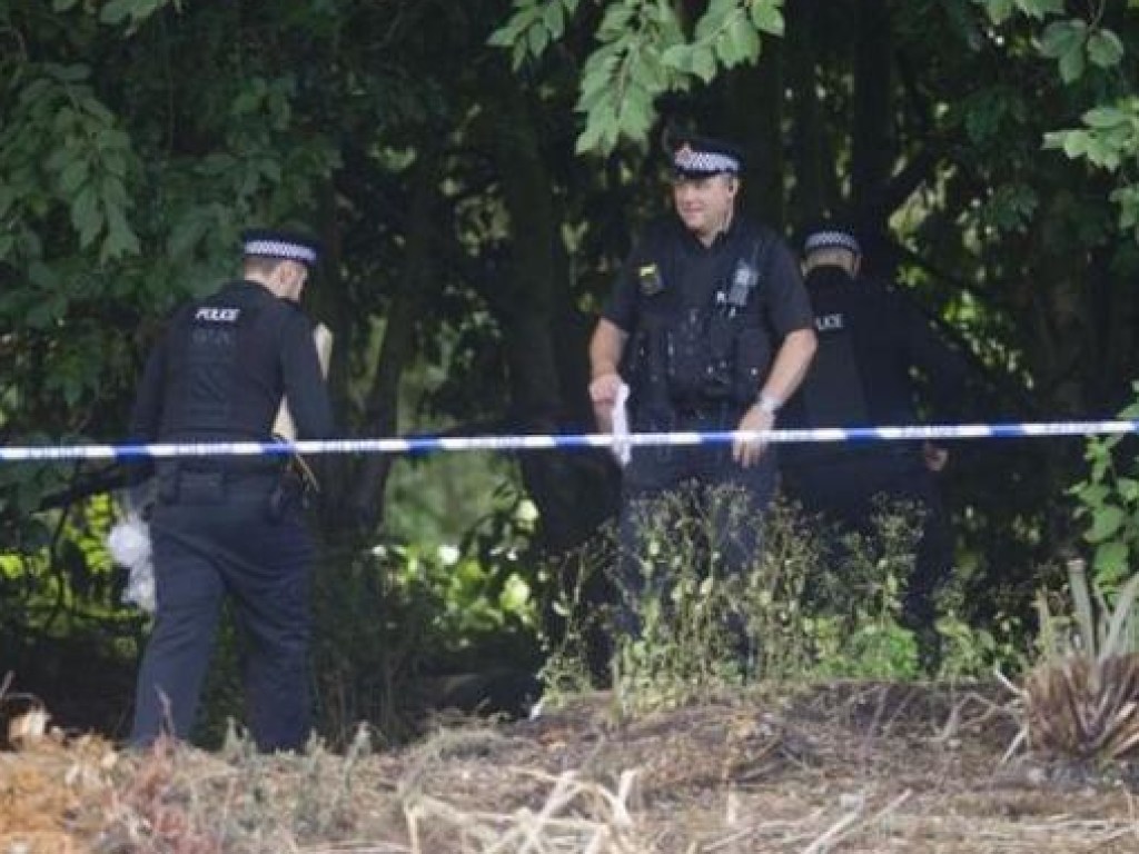 В парке Манчестера нашли повесившимися 52-летних братьев-близнецов (ФОТО)