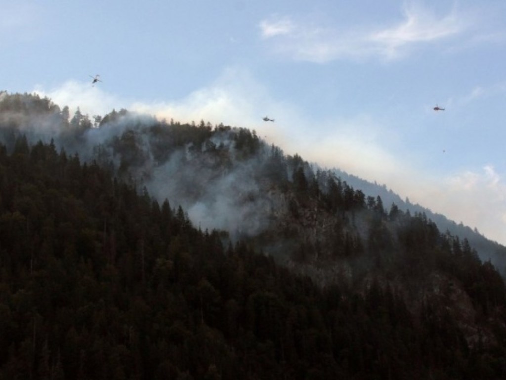 В Германии второй день тушат крупный лесной пожар  (ФОТО)