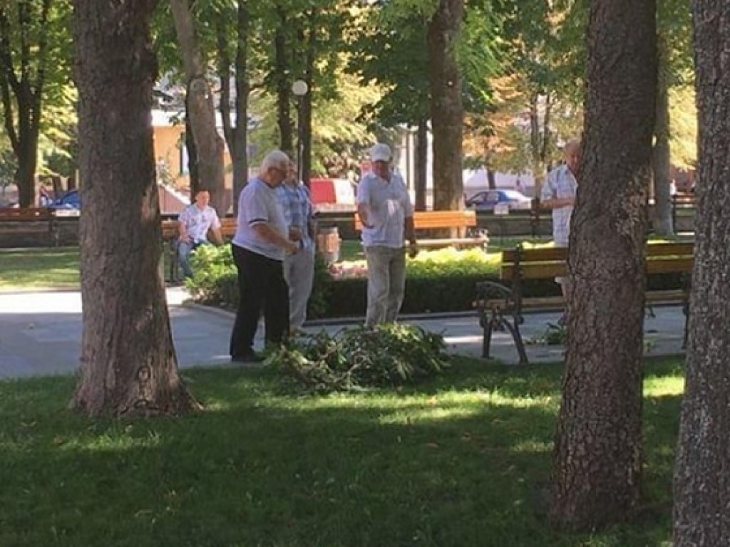 В Кременчуге отдыхающим пенсионерам на голову упала ветка (ФОТО)