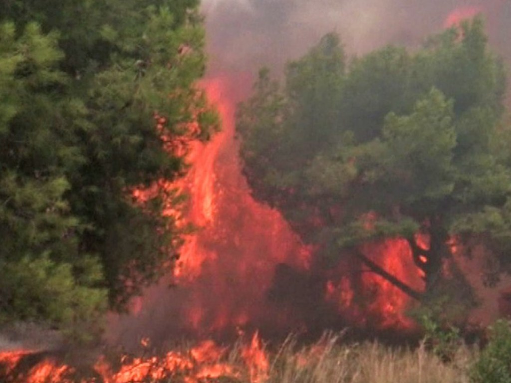 Скончалась обгоревшая 57-летняя женщина: Число погибших во время пожара в Греции возросло до 94 человек